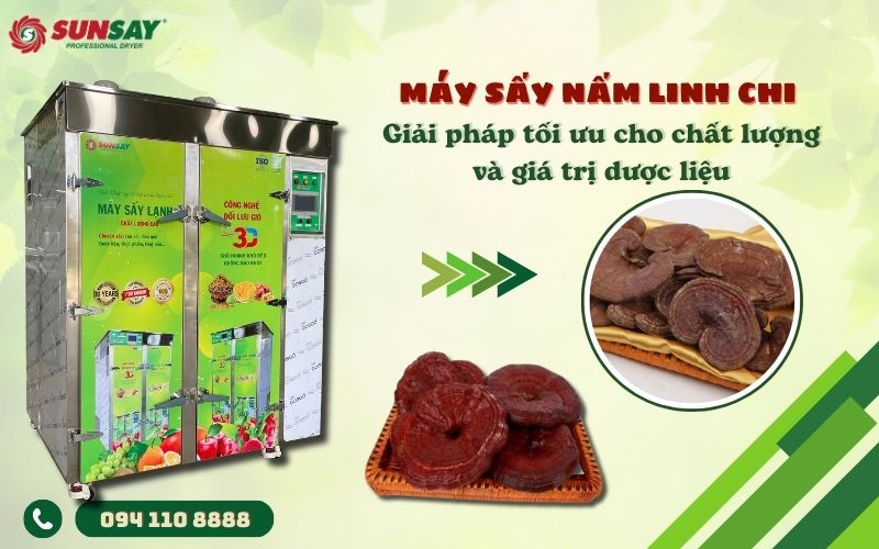 Máy sấy nấm linh chi