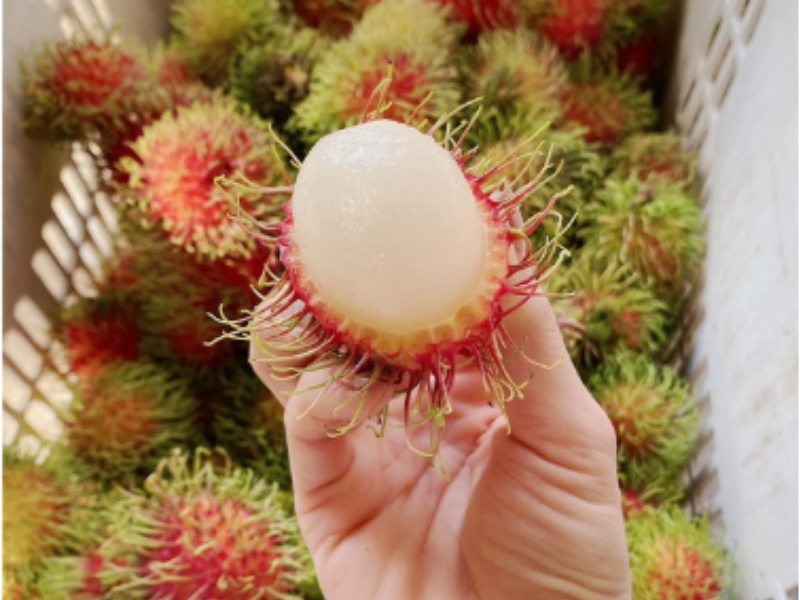 Sơ chế chôm chôm trước khi sấy