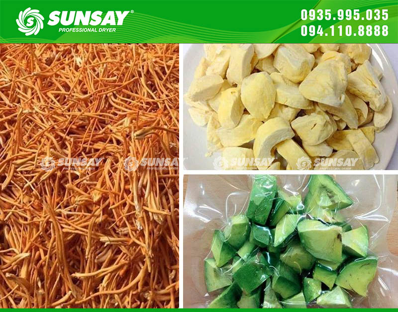 Sản phẩm sấy từ công nghệ sấy thăng hoa