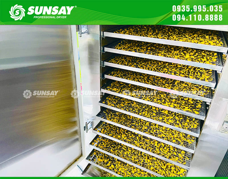 Cách làm hoa cúc sấy khô với máy sấy lạnh SUNSAY