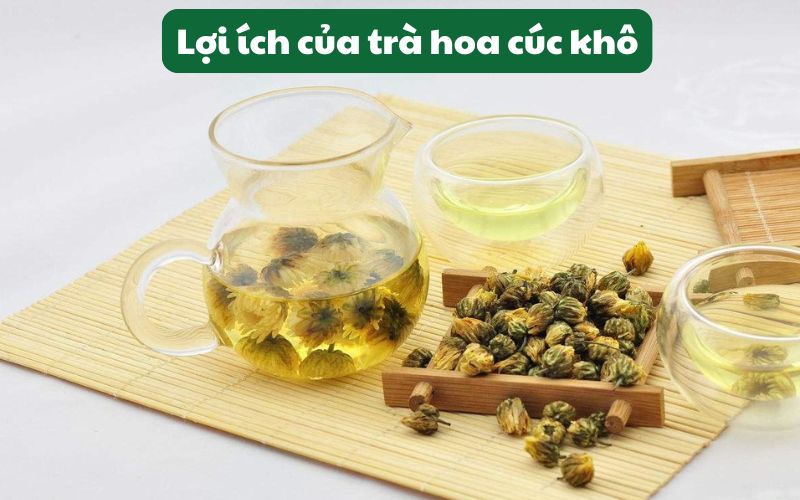 Trà hoa cúc khô còn giúp tăng cường hệ miễn dịch, hỗ trợ hệ tiêu hóa