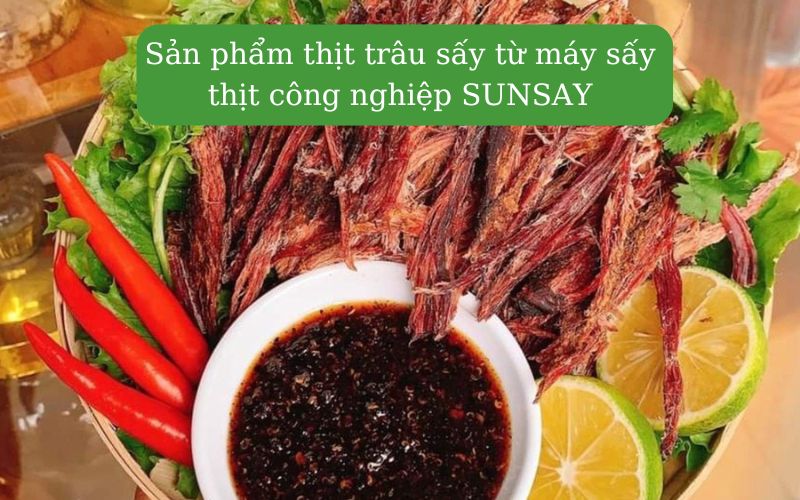 Mua máy sấy thịt công nghiệp SUNSAY chất lượng cao