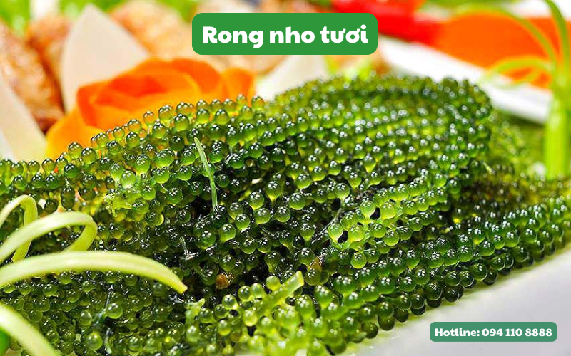 Rong nho tươi là loại rong nho được thu hoạch trực tiếp từ biển