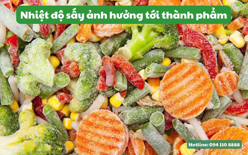 Nhiệt độ sấy có tác động trực tiếp đến chất lượng của rau củ sau khi sấy
