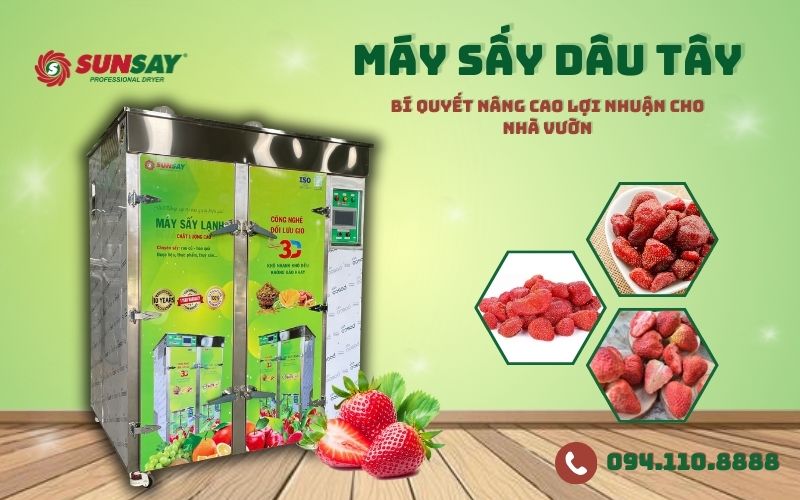 Máy sấy dâu tây - Bí quyết nâng cao lợi nhuận