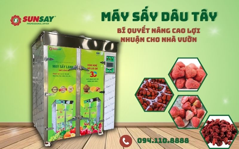Máy sấy dâu tây