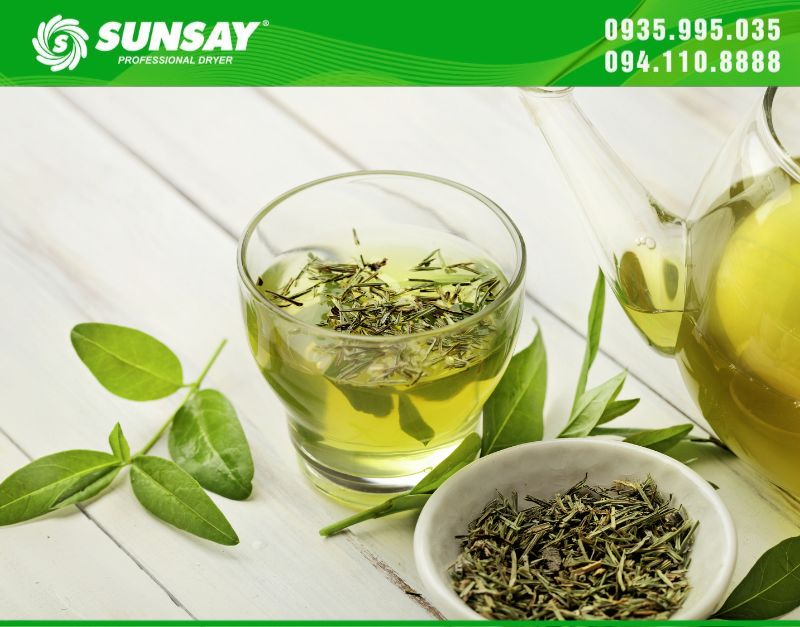Trà xanh sau khi sấy khô bằng máy sấy SUNSAY