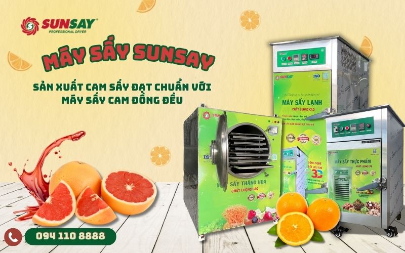 Máy sấy cam đồng đều