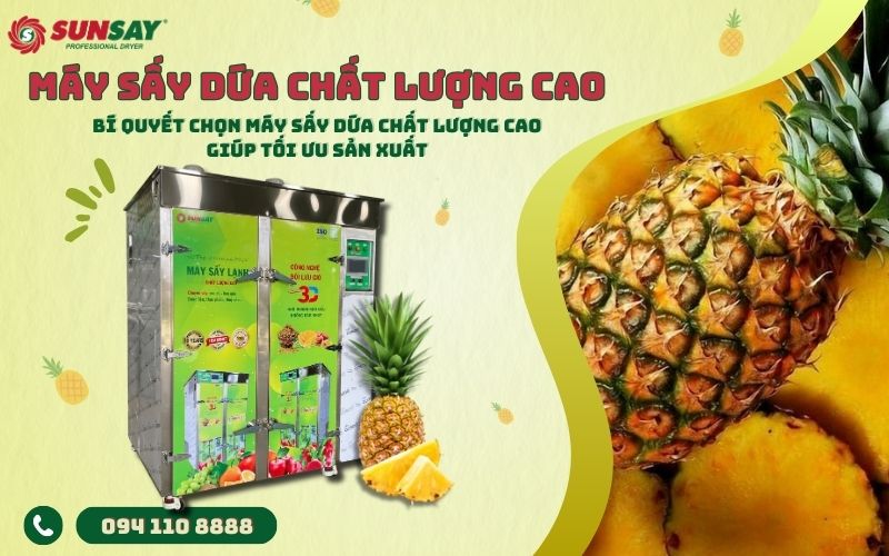 Máy sấy dứa chất lượng cao