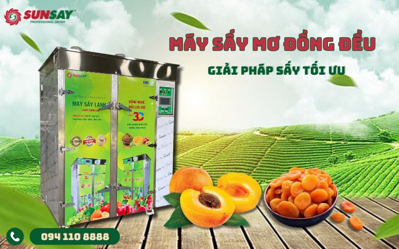 Máy sấy mơ đồng đều