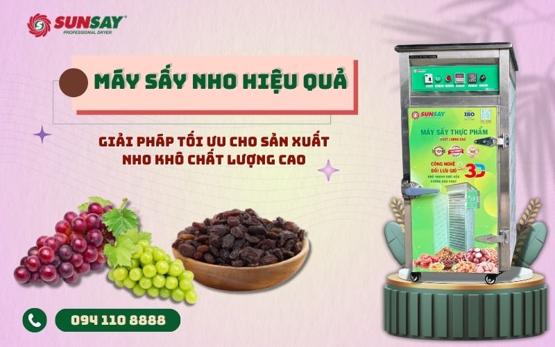 Máy sấy nho hiệu quả