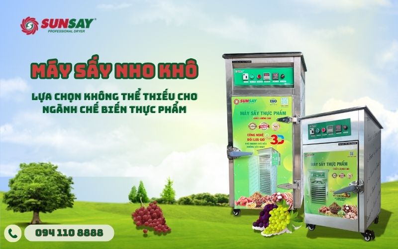 Tại sao máy sấy nho khô là lựa chọn không thể thiếu cho ngành chế biến thực phẩm?