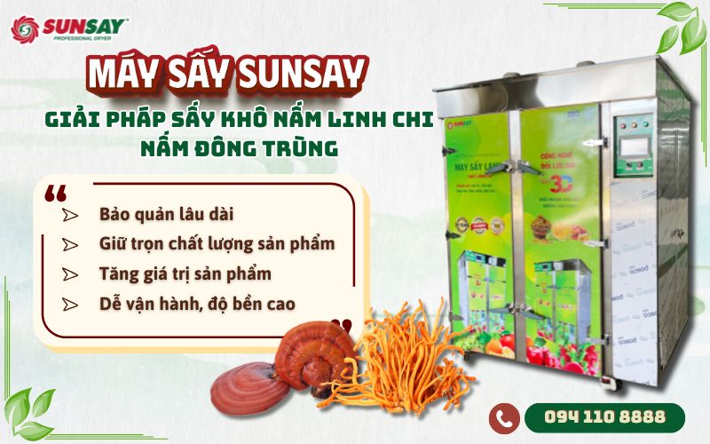 Giải pháp sấy khô nấm linh chi nấm đông trùng
