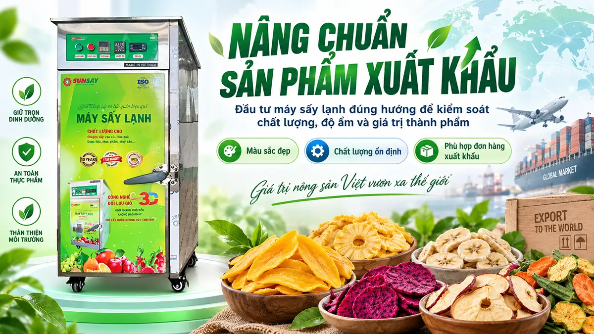 Đầu tư máy sấy lạnh cho sản phẩm xuất khẩu cần lưu ý gì?