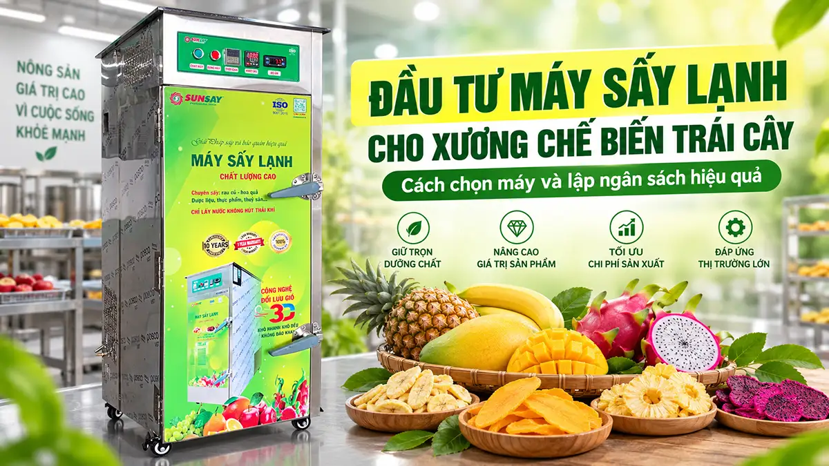 Đầu tư máy sấy lạnh cho xưởng chế biến trái cây: Cách chọn và lập ngân sách