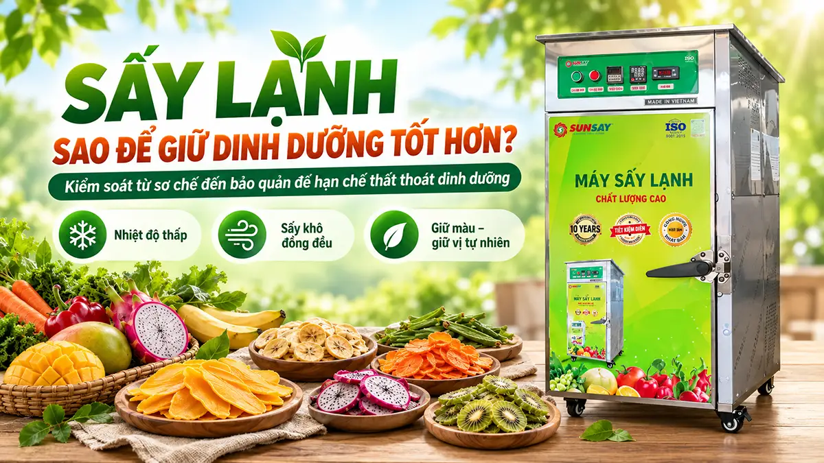 Sấy lạnh thế nào để hạn chế mất dinh dưỡng? Quy trình kiểm soát từ sơ chế đến bảo quản